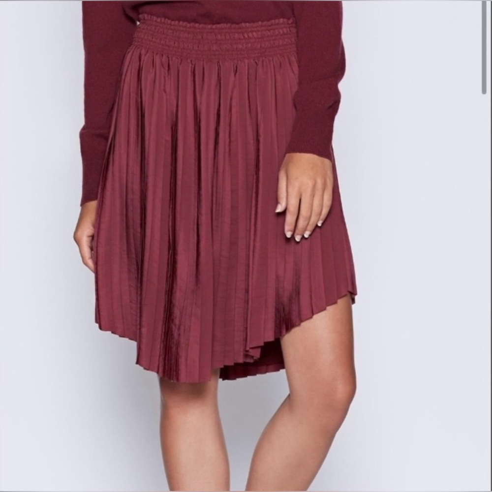 Joie Pleated Skirt